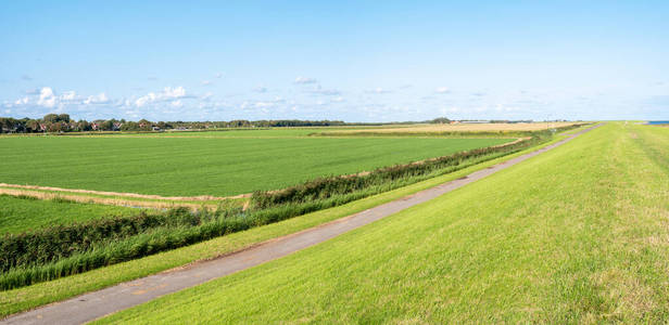 Polder landscape of meadows in Banckspolder on Schiermonnikoog, 