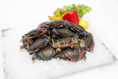 海洋 生物 营养 动物 颜色 甲壳类动物 市场 自然 晚餐