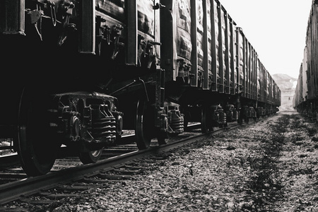 长的 物流 权力 货运 货物 火车 重的 螺栓 拖车 行业