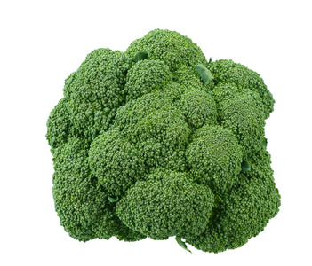 green broccoli isolated on white background. 