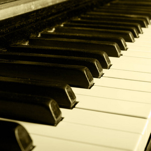 钢琴键特写单色