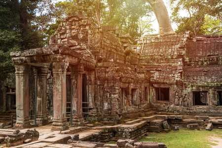 柬埔寨暹粒的Prasat Ta prohm庙