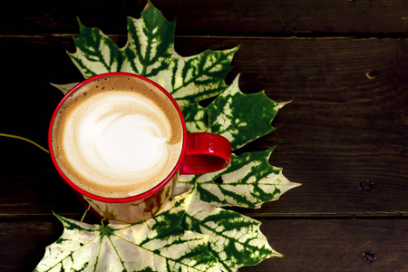 桌子 咖啡 自然 最小值 食物 枫树 颜色 早晨 杯子 美丽的