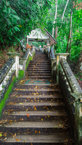通往美丽雨林的卡苏瀑布的楼梯