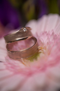 Wedding rings on pink gerberas background 