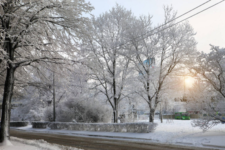 街道 寒冷的 公园 车辆 运输 冬天 俄罗斯 场景 自然
