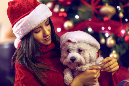戴圣诞帽的狗作为圣诞礼物。