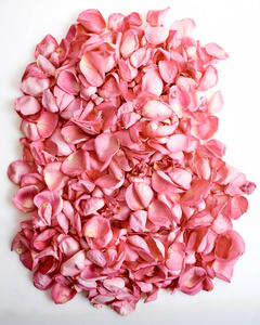 粉红色背景的白色玫瑰花瓣图片