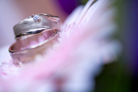 Wedding rings on pink gerberas background 