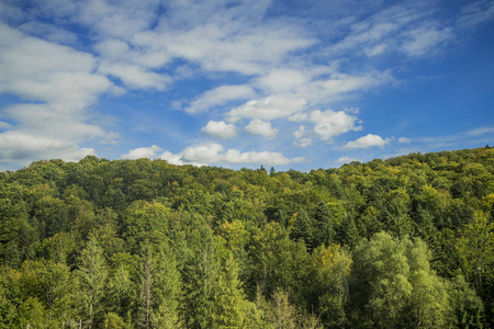 旅行 高地 天空 草地 公园 自然 春天 森林 美丽的 全景图
