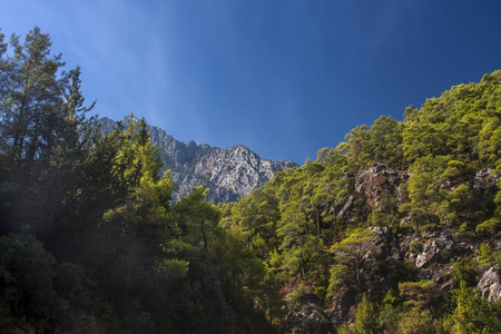 小山 峡谷 岩石 精彩的 自然 丘陵 早晨 高的 孤独 公园