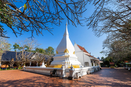 著名的白塔是一座佛教寺院图片