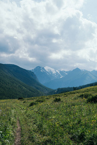 岩石 公园 攀登 旅游业 森林 冰川 自然 山谷 全景图