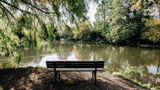 Empty bench on the shore of lake framed by trees with beautiful 