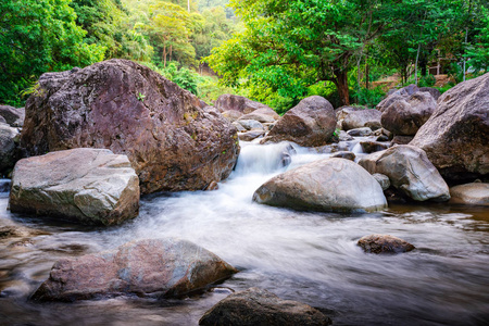 河石绿树，林中观水河树