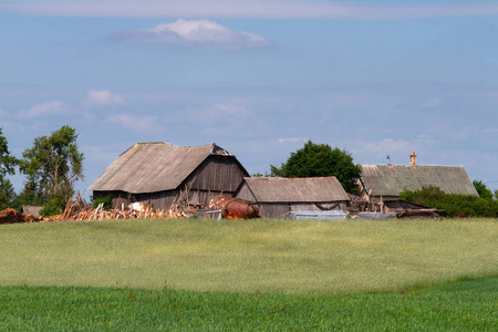 夏天 农舍 领域 屋顶 农业 天空 欧洲 村庄 木材 风景