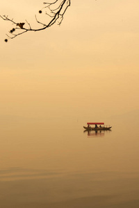 迷人的 全景图 花园 湖北 美丽的 公园 植物 森林 武昌