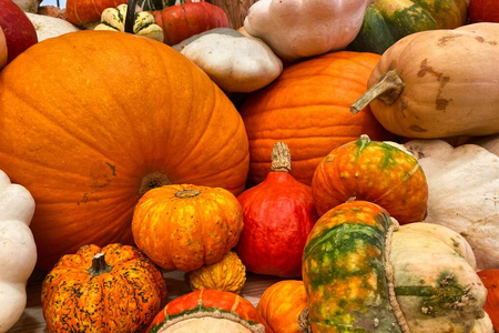 市场 收获 秋天 假日 自然 万圣节 农业 食物 农场 葫芦