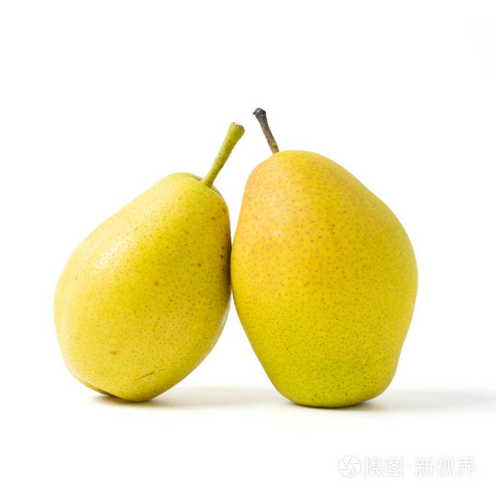 白底梨