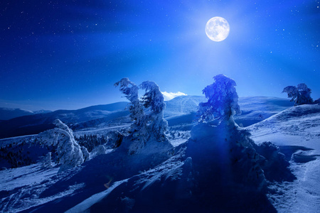 冬夜的满月覆盖着积雪的森林