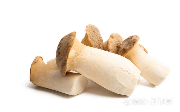 杏鲍菇
