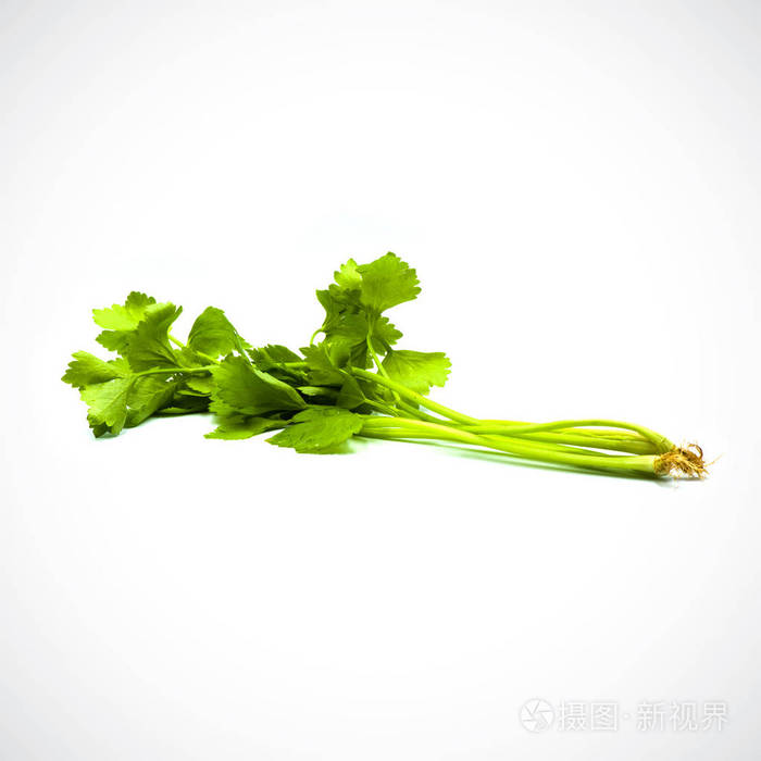 白底鲜芹菜