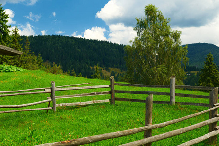 牧场上的木栅栏特写，美丽的夏季景观，山上的云杉，多云的天空和野花旅游目的地风景，喀尔巴阡山脉