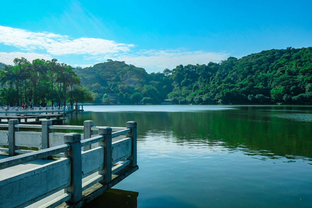 风景 森林 瓷器 水塘 建筑 地标 旅行 环境 旅游业 公园