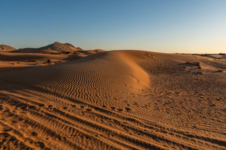 旅行 冒险 热的 沙漠 风景 小山 夏天 沙丘 自然 旅游业