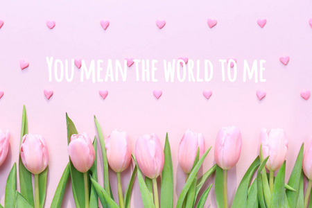你对我来说是整个世界，粉红色的郁金香和粉红色的心形点缀在粉红色的背景上。平放，俯视图。情人节背景
