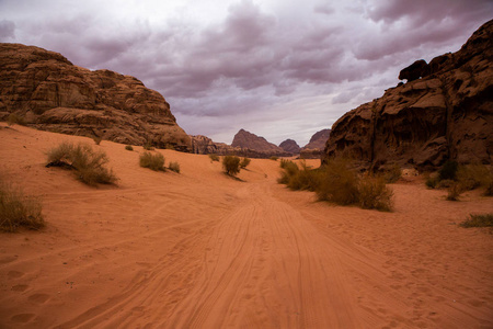 网站 土地 砂岩 遗产 游猎 冒险 贝都因 世界 沙丘 全景图