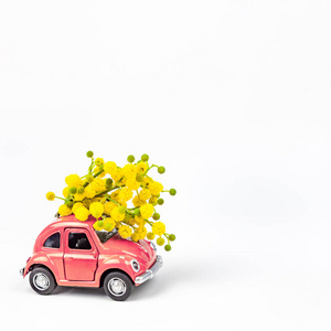 送含羞草花的汽车玩具模型图片