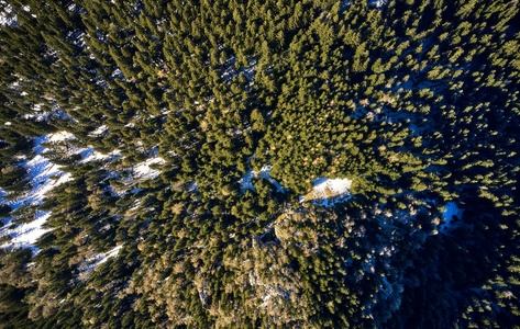 寒冷的 森林 旅行 阳光 自然 风景 日出 冬天 山谷 日落