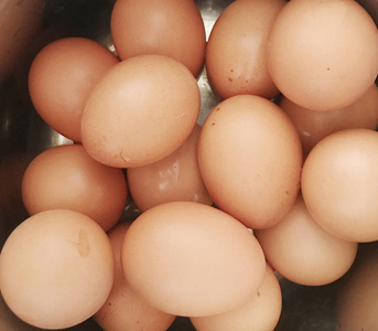 鸡蛋 摄影 特写镜头 自然 蛋壳 动物 食物 饮食 产品