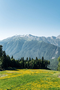 山林绿景