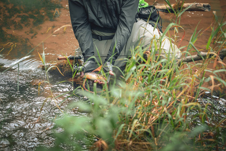 The principle of catch and release. Fishing for trout 