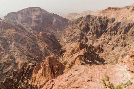 山谷 沙漠 遗产 佩特拉 美丽的 想知道 峡谷 自然 世界