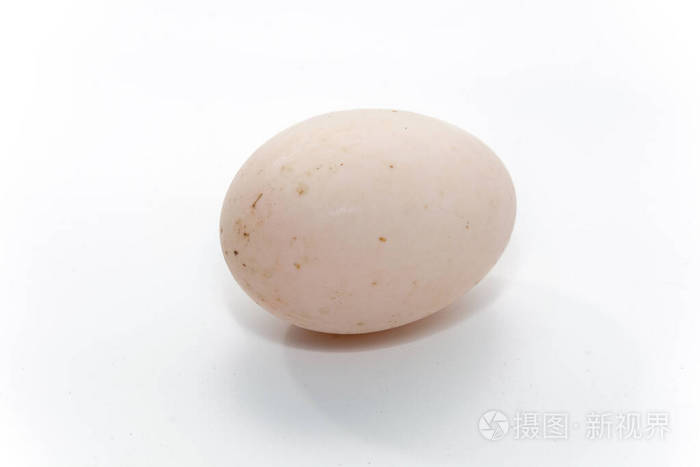 白底生脏鸭蛋