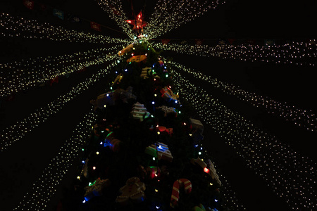 圣诞树在夜晚装饰玩具和霓虹灯图片