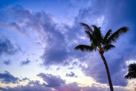 轮廓 风景 天堂 海岸 夏威夷语 太平洋 日出 冲浪 海湾