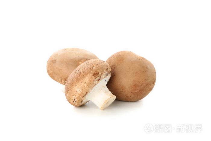 白底香菇群
