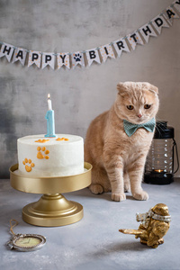 带领结的伤心猫坐在生日蛋糕旁边，背景是蜡烛和艾布纳生日快乐。