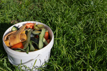 一桶白色的蔬菜和水果去皮的绿色长草
