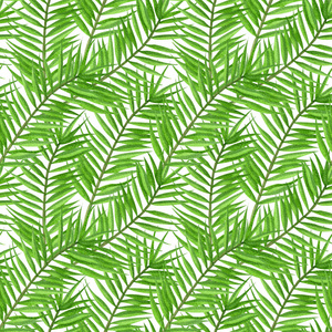 Watercolor tropical palm leaves seamless pattern.   Hand Drawn s