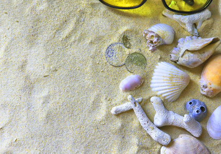 海的 海星 软体动物 海洋 海滨 假期 贝壳 假日 夏天