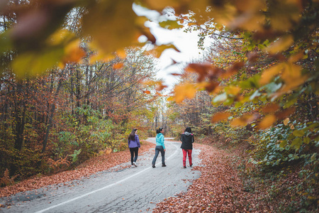 国家 自由 站立 女孩 秋天 旅行者 木材 徒步旅行者 在一起