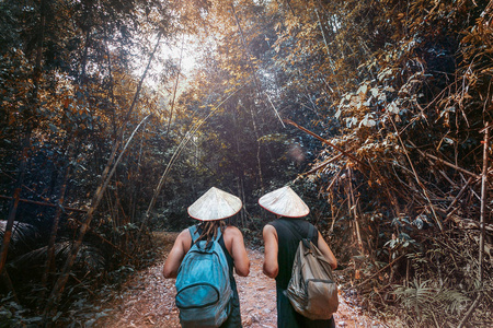 男人 徒步旅行 锻炼 南瓜 森林 风景 旅行者 夏天 活动