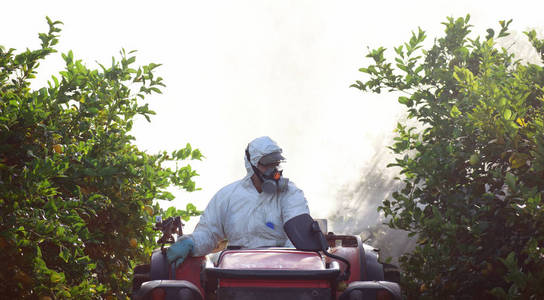 西班牙柠檬种植园拖拉机喷洒杀虫剂和杀虫剂。杂草杀虫剂熏蒸。有机生态农业。由拖拉机牵引喷洒除草剂的喷雾机。