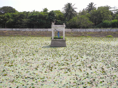 泰米尔纳德邦，马哈巴利普尔，古印度寺庙的寺庙池塘