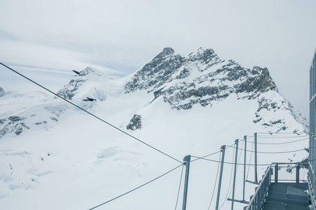 旅游业 冰川 陆路 瑞士 高的 旅行 风景 自然 阿尔卑斯山